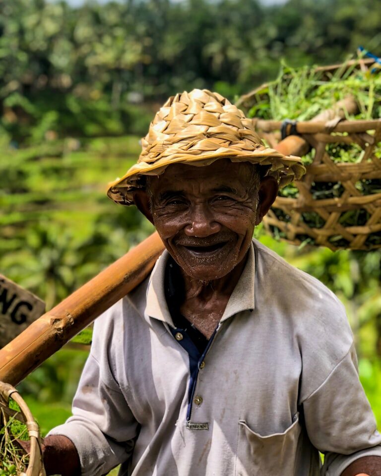 A coconut farmer carrying a harvest basket and tools along a path through a coconut plantation.