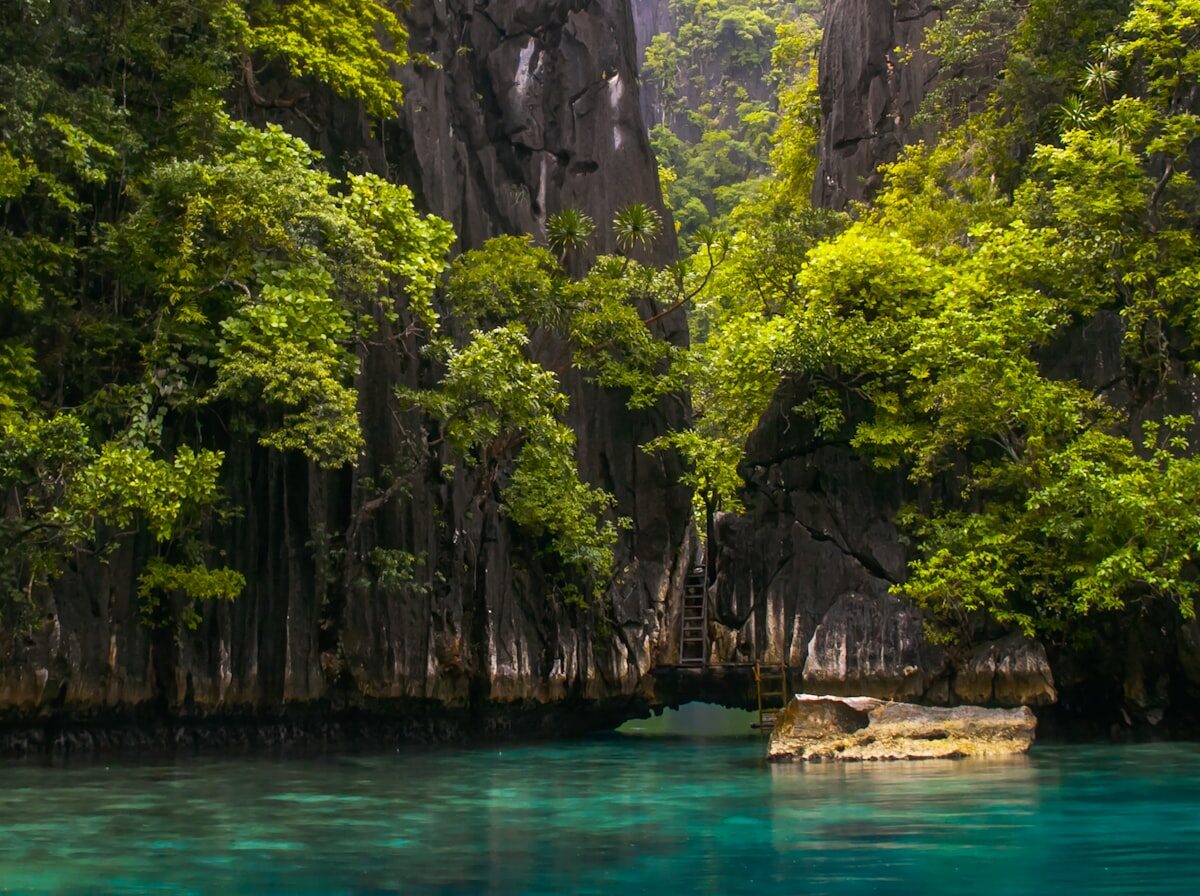 Coastal agricultural area in Palawan.
